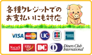 各種クレジットでのお支払いにも対応