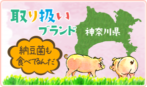 取り扱いブランド