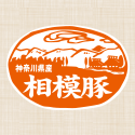 相模豚