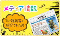 メディア情報