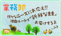 業務卸 独自ルートで「新鮮なまま」お届けするよ