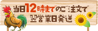 当日12時までのご注文で翌営業日配送